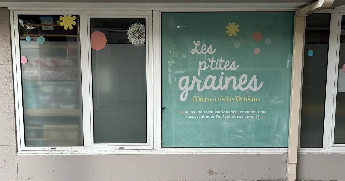 Aperçu du site Les P’tites Graines Orléans