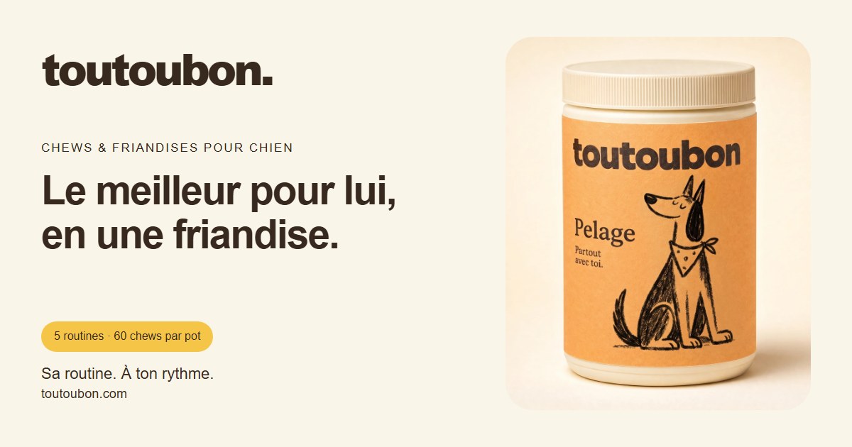 Aperçu du site Toutoubon